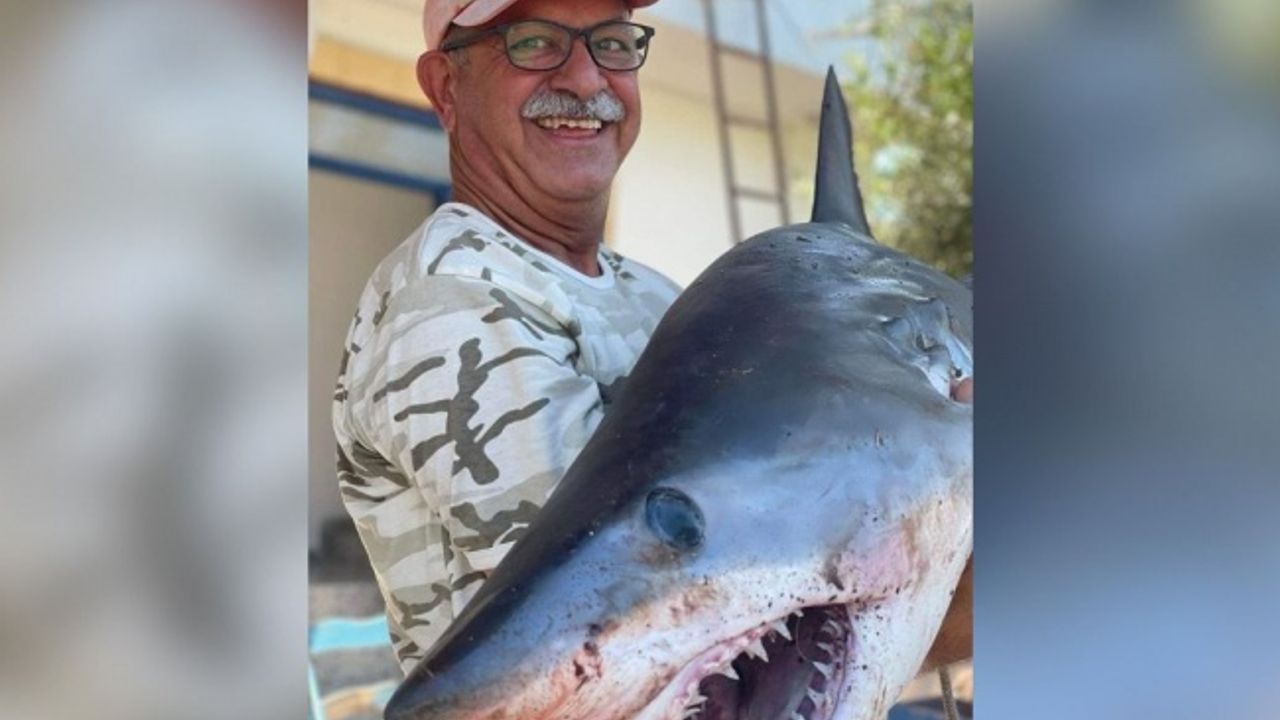 Yedidalga'da Denizlerin Ferrarisi Olarakta Bilinen Mako (Isurus ) Köpek Balığı Yakalandı