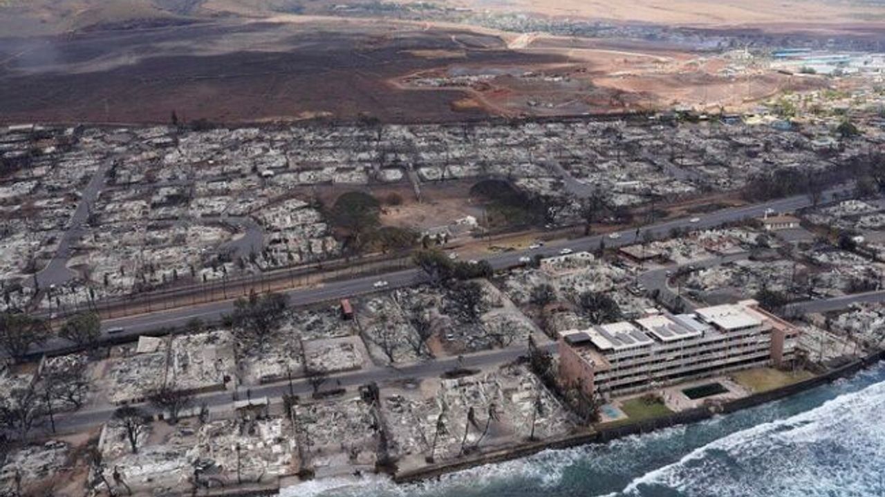 Hawaii yangınlarından iki gün sonra çıkan kitap tartışma yarattı