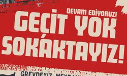 Tabipleri Birliği, cuma günkü genel greve ve mitinge destek belirtti