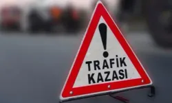 Kaleburnu köy girişinde alkollü sürücü kaza yaptı, iki kişi yaralandı