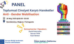 İnsan Hakları Platformu, “Toplumsal Cinsiyet Karşıtı Hareketler” paneli düzenliyor
