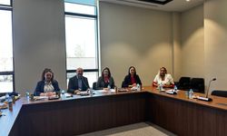 Ülkedeki yükseköğretim kurumlarının araştırılmasına ilişkin komite toplandı