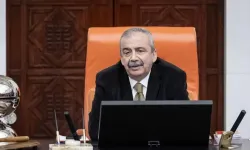 SON DAKİKA: Sırrı Süreyya Önder hayatını kaybetti