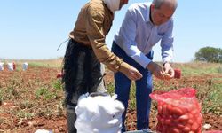 Cumhurbaşkanı Ersin Tatar 14 Mayıs Dünya Çiftçiler Günü dolayısıyla mesaj yayımladı