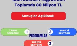 YAGA koordinasyonunda yürütülen ve TC kaynaklarıyla finanse edilen 92 proje için 80 milyon TL kaynak tahsis edildi