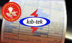 El-Sen'den “Faturanı Hesapla” uygulaması
