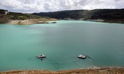Narenciye Üreticiler Birliği'nden su dağıtımında adalet ve planlama çağrısı