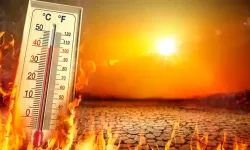 Güney Kıbrıs aşırı sıcak hava nedeniyle alarmda... Elzem durumlar dışında dışarıya çıkılmaması uyarısı yapıldı