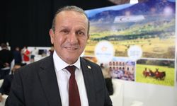 Türkiye'den KKTC'ye gelen ziyaretçi sayısı yüzde 22,2 arttı