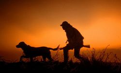 Büyük Av sezonu pazar günü başlıyor...