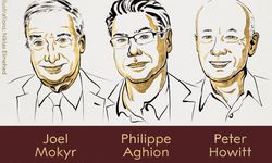 2025 Nobel Ekonomi Ödülü'nün sahipleri belli oldu