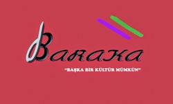 Baraka Kültür Merkezi, 25 Kasım Organizasyon Komitesi’nin düzenleyeceği eyleme katılacak
