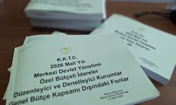 Bütçe maratonu sürüyor