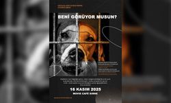 Donskaya’dan sahipsiz hayvanlar yararına sergi: "Beni Görüyor Musun?” 16 Kasım’da Girne’de