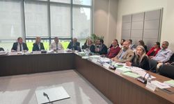 Maliye Bakanlığı bütçesi komitede oy çokluğuyla kabul edildi…