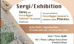 Feza Aygın Sanıvar’ın Süreç adlı sergisi 2 Aralık Salı Günü açılıyor