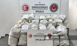 İpsala Sınır Kapısı'nda 2 ayda 503 kilogram uyuşturucu ele geçirildi