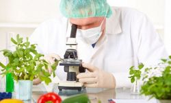 Haftalık gıda denetim sonuçları açıklandı…Yerli ürünlerde limit üstü bitki koruma ürünü içeren dört numuneye rastlandı