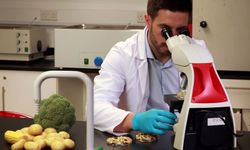 Yerli biber ve kerevizde tavsiye dışı bitki koruma ürünü