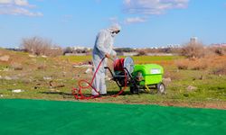 Gazimağusa Belediyesi’nden şap hastalığına yönelik önlemler