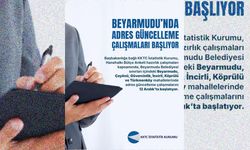 İstatistik Kurumu, Beyarmudu'nda adres güncelleme çalışmalarına yarın başlıyor