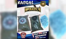 Polisten “Kangal Operasyonu”… Lokmacı’da 1,5 kilo hintkeneviri, hap ve toz madde ele geçirildi