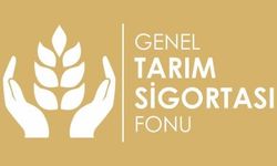 Sebze ve meyve don zararları ödendi