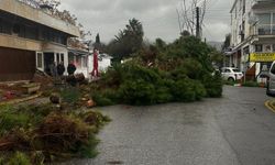 Aşırı yağışlar Girne’de bazı bölgelerde etkili oldu