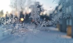 Yarın ve cuma don bekleniyor