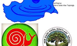 Salamis bölgesinde kuş gözlemi düzenleniyor