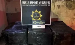 Mersin Limanı'nda 298 kilogram kokain ele geçirildi