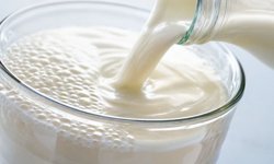 Süt bedelleri ödendi