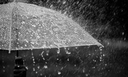 En fazla yağış Alsancak’a düştü