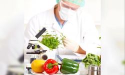 Gıda denetimleri… Armut, elma ve çilekte limit üstü, salatalıkta tavsiye dışı bitki koruma ürünü