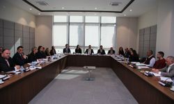 İdari, Kamu ve Sağlık İşleri Komitesi, Bütçe Dairesi ile BRTK yasa tasarılarını görüştü