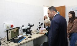 Tarım Bakanı Çavuş babutsada görülen koşnille mücadelede umut verici gelişme kaydedildiğini söyledi