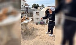 KÖDER’in Narin Hulusioğlu belgeseli Sanayi Odası’nda gösterilecek