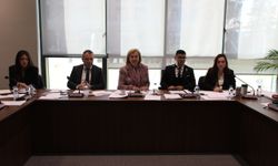 Ekonomi, Maliye, Bütçe ve Plan Komitesi motorlu araçlar ve pasaportlarla ilgili yasa değişikliklerini onayladı