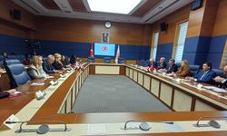 KKTC ile Türkiye'nin parlamentolar arası dostluk grupları Ankara'da bir araya geldi