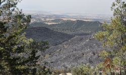 Gençlik Federasyonu alçak orman arazileri yasa değişikliğinin tekrar değerlendirilmesini talep etti