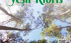 “Yeniden Yeşil Kıbrıs” projesi yarın Cumhurbaşkanlığı’nda düzenlenecek etkinlikle tanıtılacak