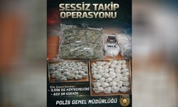 Gönyeli’de, “Sessiz Takip Operasyonu” kapsamında 3 kilo 596 gram hintkeneviri ile 622 gram kokain ele geçirildi