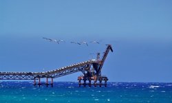 "Çevre sorunları ertelenemez bir noktaya ulaştı."