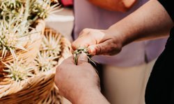 Yiğitler Gafgarıt Festivali 5 Nisan’da yapılıyor