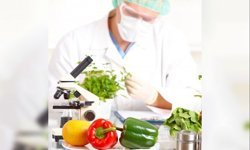 Çilek, fasulye ve biberde limit üstü, domateste tavsiye dışı bitki koruma ürünü tespit edildi