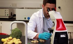 Yerli ürünlerin 6'sında tavsiye dışı ve limit üstü bitki koruma ürünü