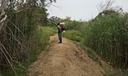 GMB kent genelinde sivrisinekle mücadeleye devam ediyor