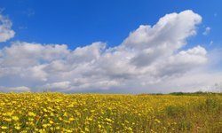 Hava sıcaklığı yükselerek, 24-27 derece dolaylarında seyredecek