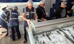 Gönyeli ve Alayköy bölgesindeki su ürünleri perakende satış yerleri denetlendi