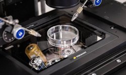 TDP Sağlık Komitesi: “Tüp bebek merkezleriyle ilgili iddialar derhal araştırılmalı"